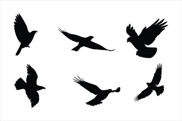 Flying Birds Silhouettes Collection - Majestic Eagle and Hawk Flight Vectors