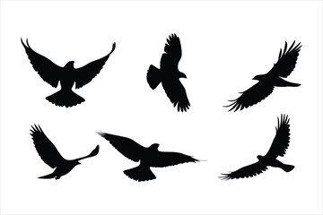 Flying Birds Silhouettes Collection - Majestic Eagle and Hawk Flight Vectors