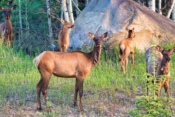 Yukon Territories, Canada