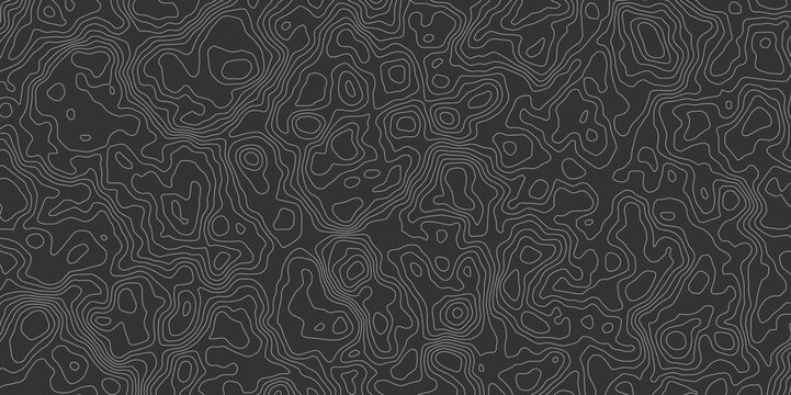 gray abstract topographical map with contour lines creating a seamless pattern effect creates a sense of depth and complexity design is modern and stylish, suitable for backgrounds and wallpapers.