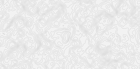 Topographic white and bright light grey stylized line essential for effectively communicating the focus and scope of a map or survey. A well-crafted provides clarity on the geographic area.