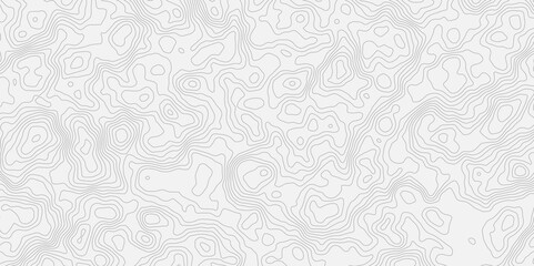 Topographic white and bright light grey stylized line essential for effectively communicating the focus and scope of a map or survey. A well-crafted provides clarity on the geographic area.