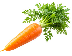  Single Fresh Carrot with Bright Green Leaves, Front View, Isolated on Transparent Background