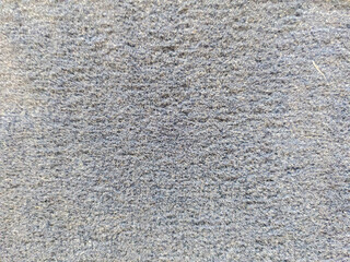 Textured Gray Carpet Background for Interior Design Projects