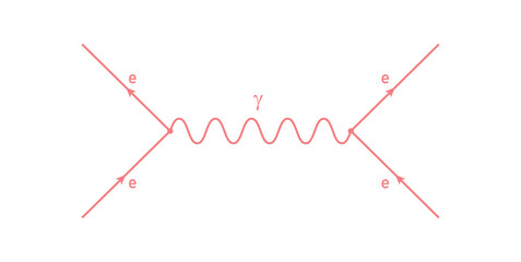 The Feynman Diagram in Physics.