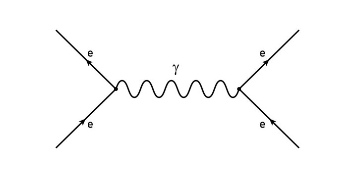 The Feynman Diagram in Physics.