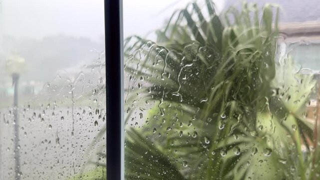 Rain and wind of tropical storm, view through house window in Florida