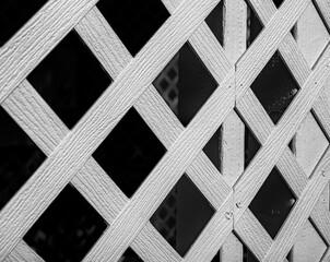 White Wooden Garden Trellis in Black and White with Texture and Detail.