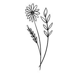 Rose Flower Silhouette