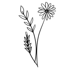 Rose Flower Silhouette