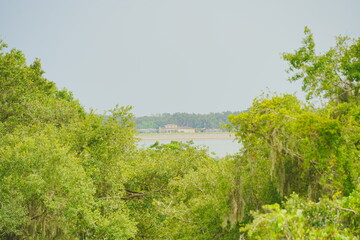Plant city, Florida, USA: 06 22 2025: The landscape of Edward Medard Conservation Park in Plant City close to Tampa