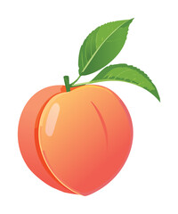 Vibrant Fresh Peach Produce - Vector Illustration