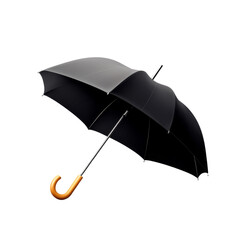 Elegant black umbrella with wooden handle