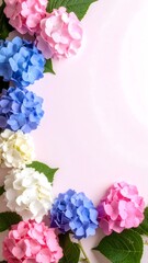 Charming display of pink and blue hydrangea flowers in a minimalist style with bright shades