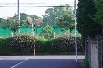 Typical Japanese Street Traffic Convex Mirrors with Green Background