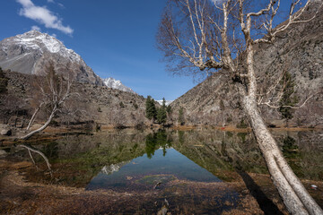 Reflective Mountain Lake in Springtime