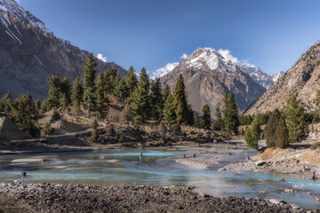 Scenic mountain landscape with snow-capped peak, dense forest, and a clear glacial river under blue sky