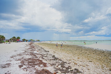 Honeymoon island, Florida, USA: 06 22 2025: The landscape of Honeymoon island State Park close to Tampa in Florida