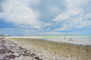 Honeymoon island, Florida, USA: 06 22 2025: The landscape of Honeymoon island State Park close to Tampa in Florida