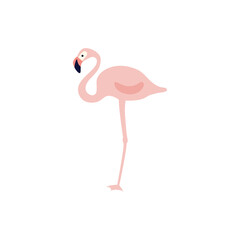 Flat Flamingo Icon Vector Design