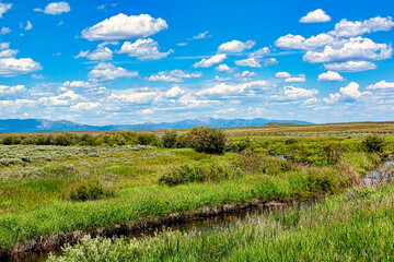 Obraz premium Beautiful Spring View of the Centennial Mountains on the Horizon with Green Meadows along a Creek while Driving Red Road in Eastern Idaho.
