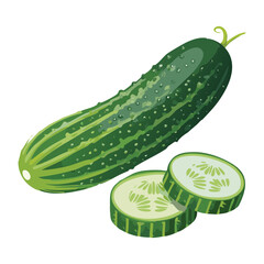 Fresh Cucumber and Two Green Slices - Vector Illustration