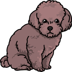 トイプードル　toy poodle　カラー　犬のイラスト
