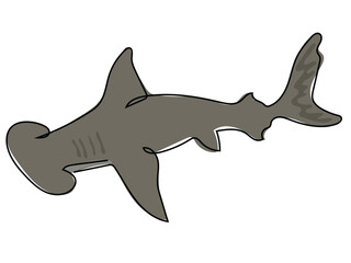Hammerhead shark in continuous line drawing on a white background.