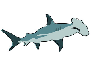 Hammerhead shark in continuous line drawing on a white background.