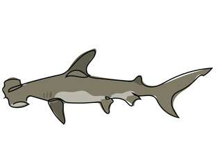 Hammerhead shark in continuous line drawing on a white background.