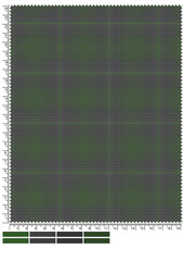 Dark Green and Gray Plaid Fabric Sample