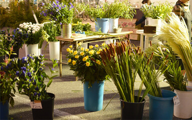 Flowers at midsummer night market / 夜店・屋台のフラワーショップ
