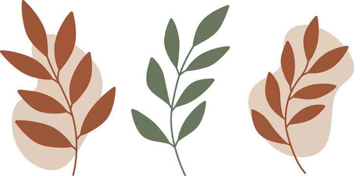 Elegant Botanical Illustrations Set of Three Minimalist Leaves in Earthy Tones