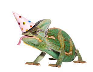 Colorful Chameleon Wearing A Party Hat With Tongue Out On Transparent Background