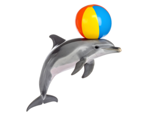 Dolphin Balancing Colorful Beach Ball Isolated on Transparent Background