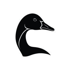 vector illustration of a duck on White Background