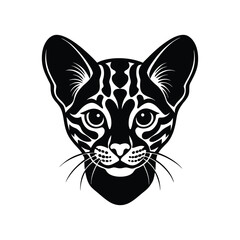 vector illustration of a cat on White Background