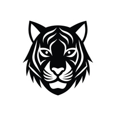 tiger head vector on White Background