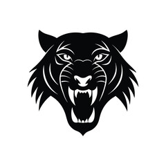 head of a tiger on white background