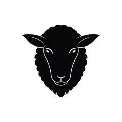 vector illustration of a sheep on white background  