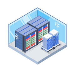 Isometric view of a cold server room with hardware