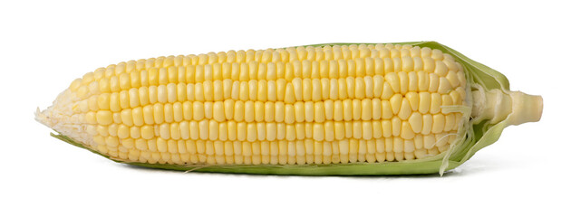 The High-resolution photo of a corn cob with a 45MP camera.