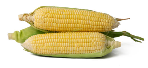 The High-resolution photo of a corn cob with a 45MP camera.