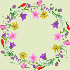 frame with flowers