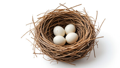 A charming birds nest cradles four white eggs, set against a bright background evoking themes of spring and new beginnings.