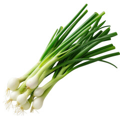  Spring onions on a transparent background-Photoroom.