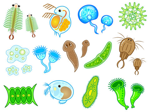 かわいい微生物とプランクトンのイラスト素材セット