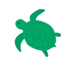green turtle on white background