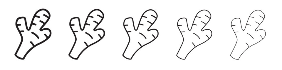 Ginger icon thin flat outline style vector sign