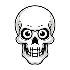 Fototapeta premium human skull vector illustration